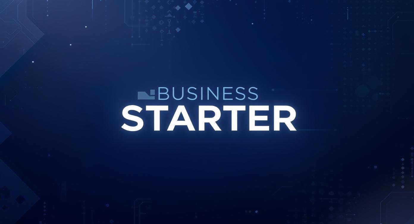 Business Starter