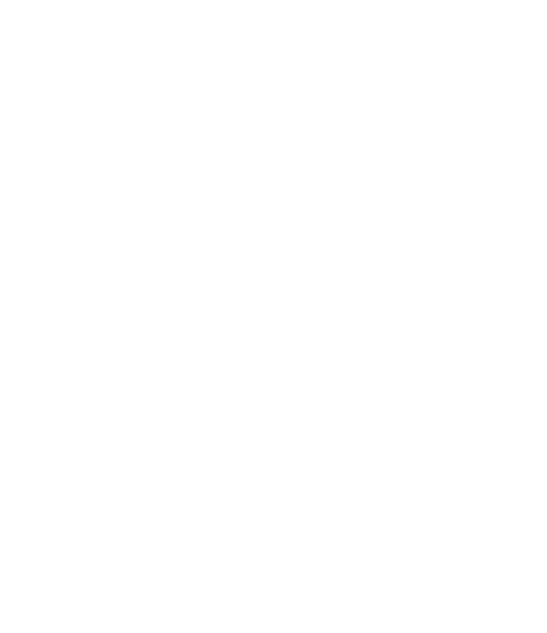 GoHighLevel Expert